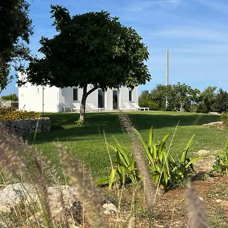 Aloha Torre Pali Сальве