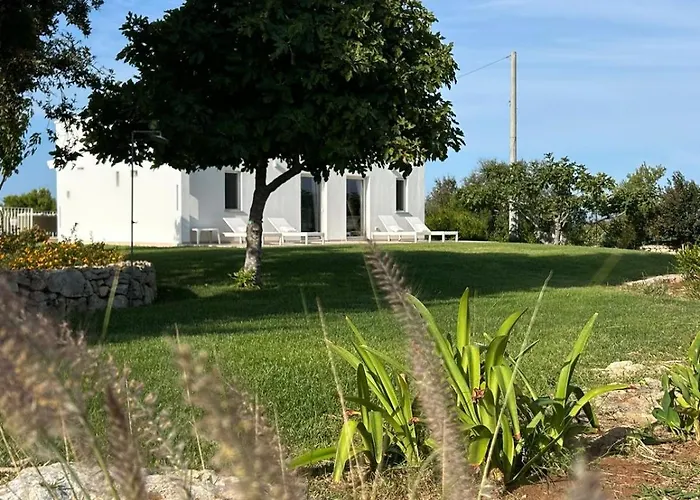 Aloha Torre Pali סאלבה